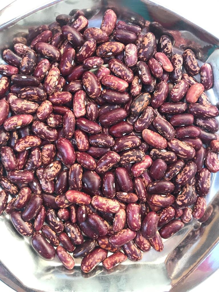 Joshimath Rajma (Joshimath Kidney Beans) 750 Gram - Kumwal