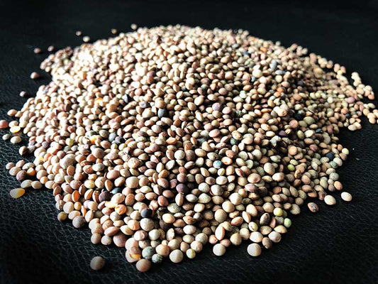 Himalayan Masoor Dal, 750 Gram - Kumwal